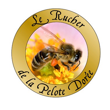 Le rucher de la pelote dorée